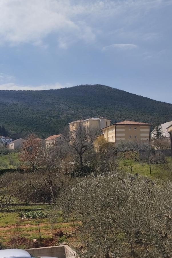 Pansion Danijel Hotell Međugorje Rum bild